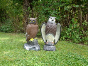 DSC 0041 scaled DSC00425